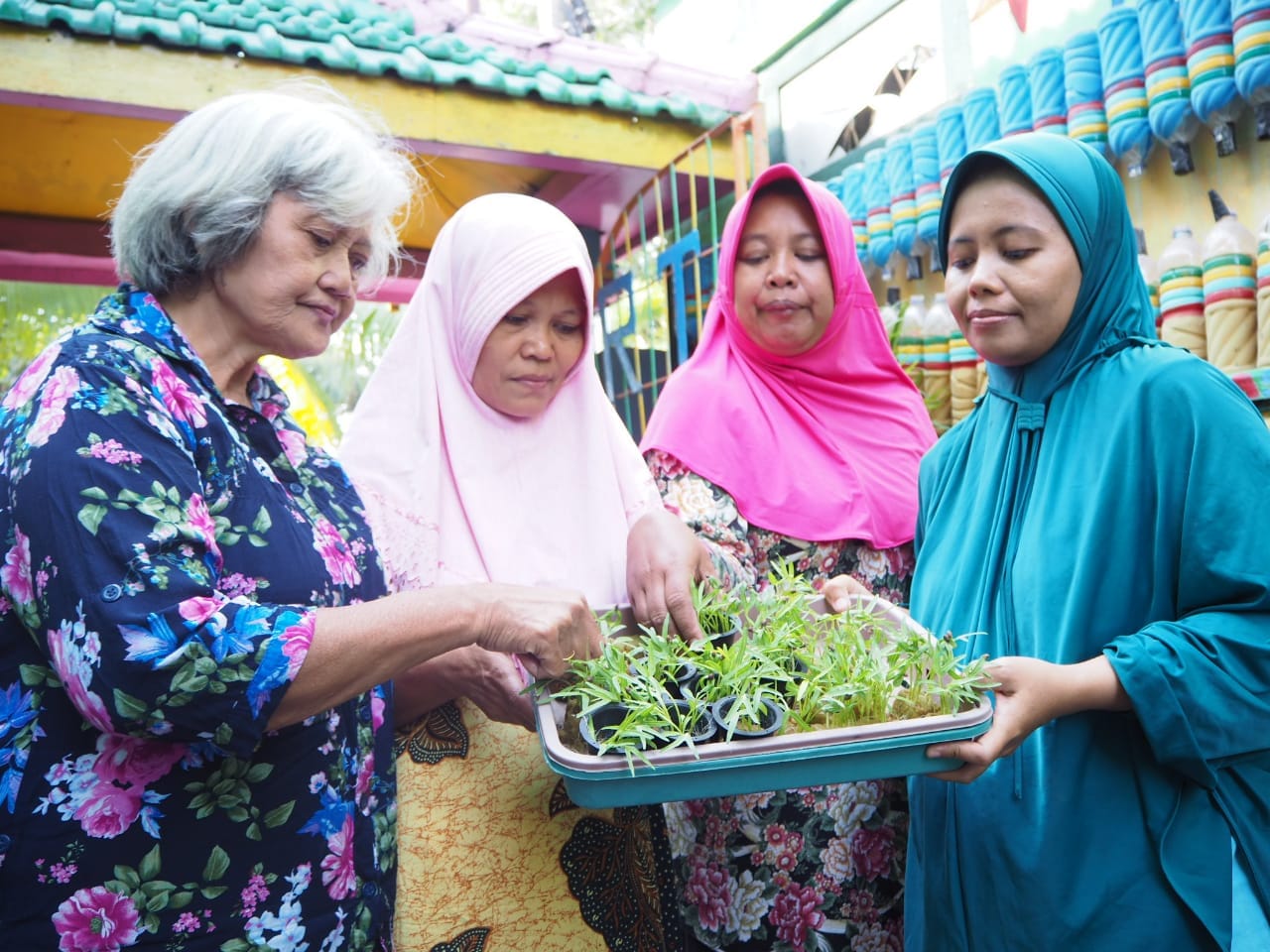 Warga Kawasan Kampung Jalan Ikan Kerapu dengan pandan wanginya