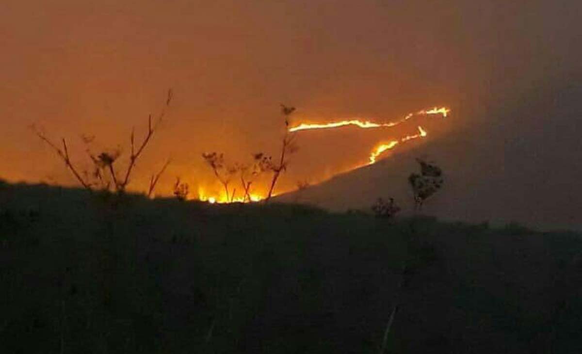 Kebakaran di Taman Nasional Bromo Tengger Semeru/Foto Humas TNBTS for jatimnow.com 