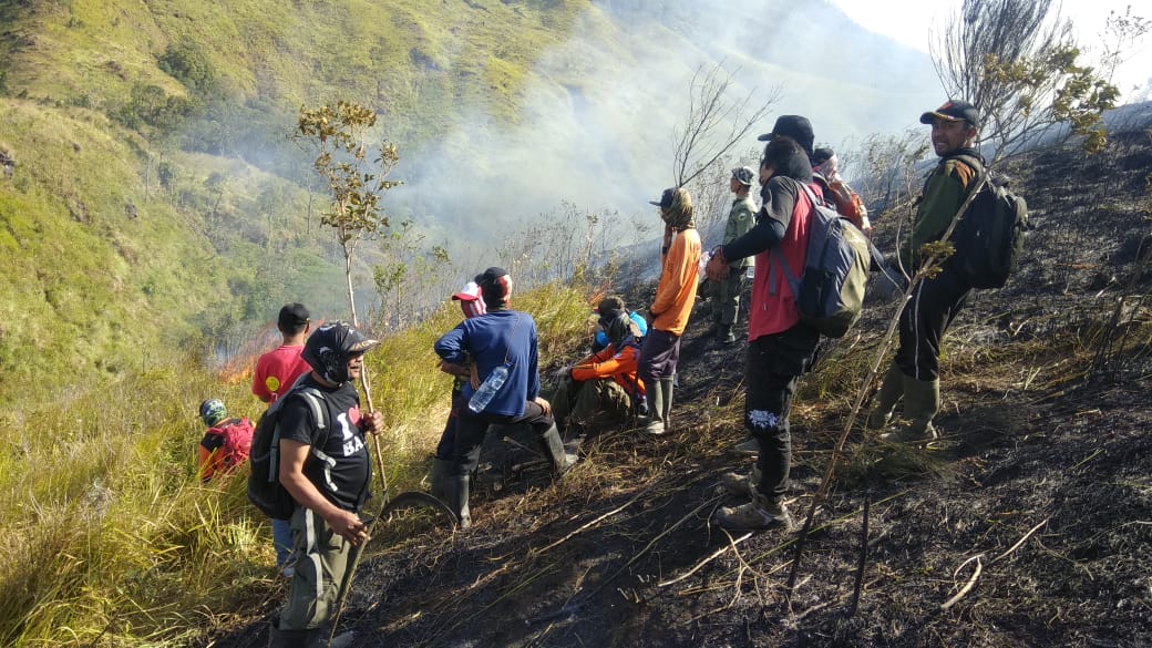 Petugas gabungan melakukan pemadaman api di lahan Perhutani