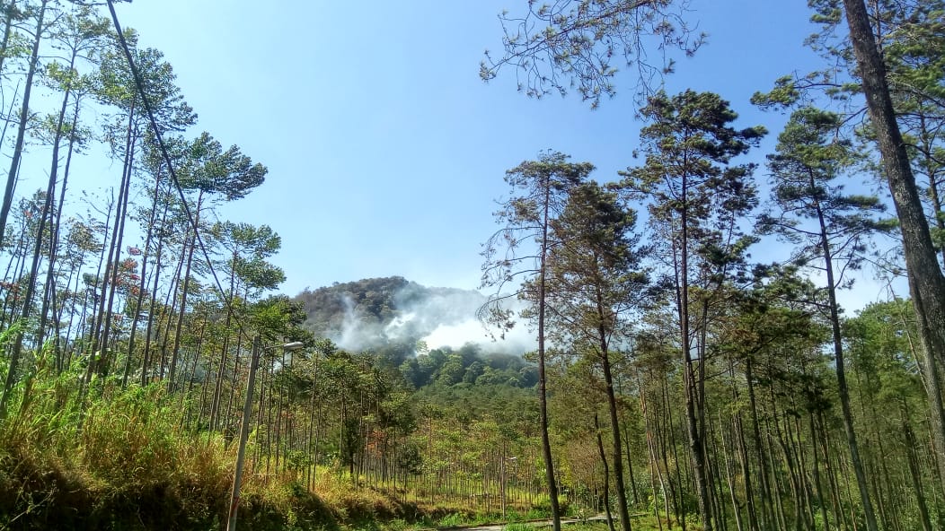 Kepulan asap akibat kebakaran hutan terjadi di Gunung Pundak, Kecamatan Pacet, Kabupaten Mojokerto.