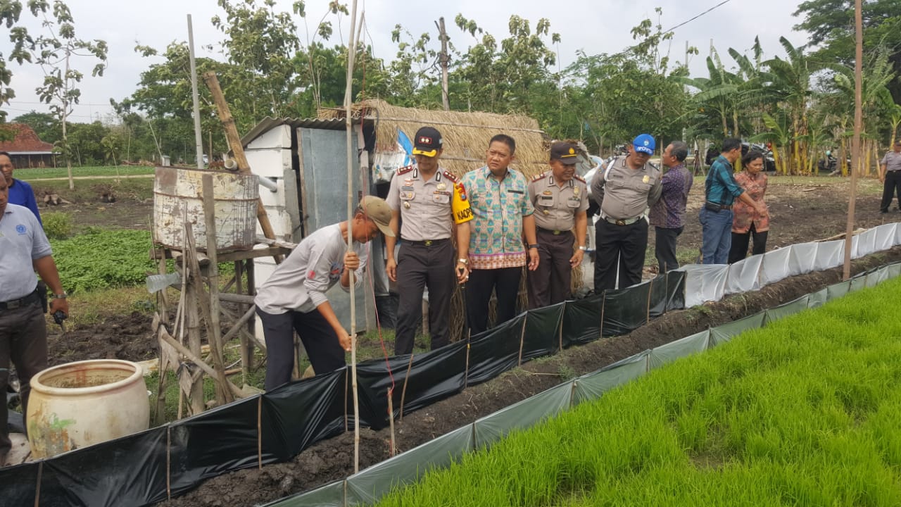 Kapolres Ngawi bersama petugas PLN, melakukan pencabutan jebakan tikus di Kecamatan Padas (Istimewa/Humas Polres Ngawi)