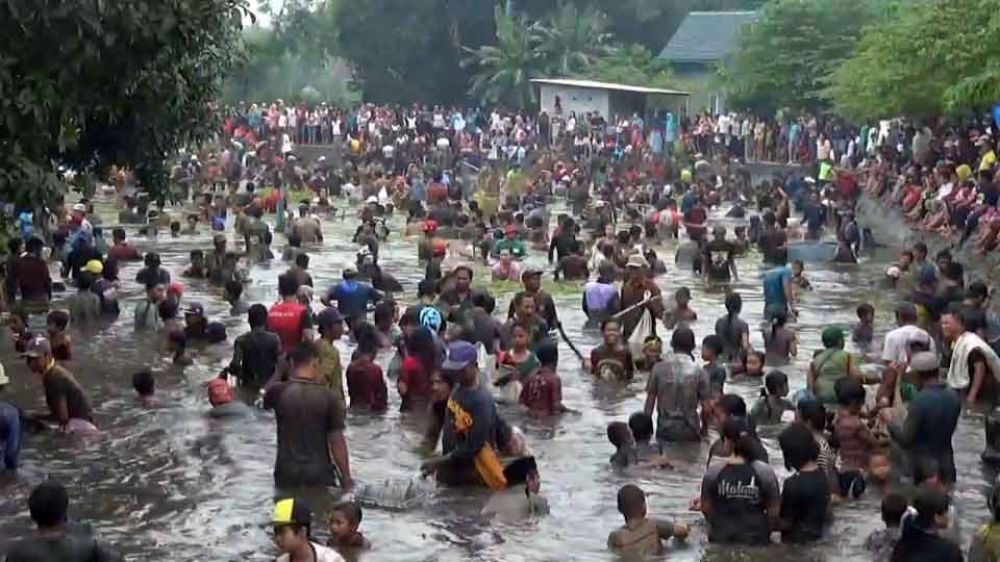 Kegiatan berebut ikan di Telaga Sumber Wuluh