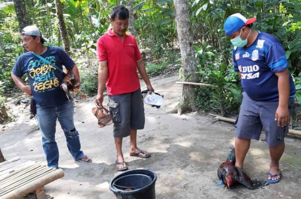 Penggrebekan judi sabung ayam di Blitar