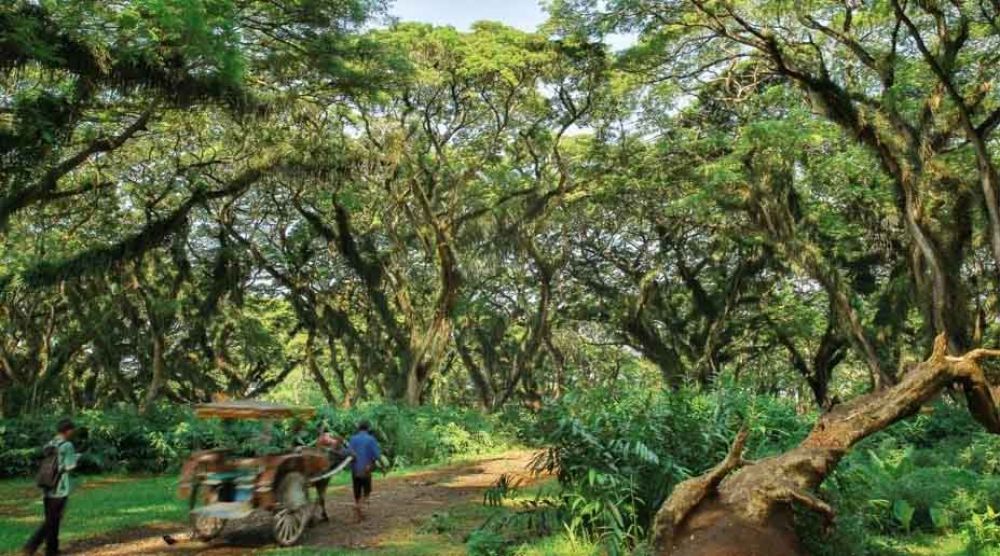 Lokasi wisata di Banyuwangi ramai dikunjungi wisatawan