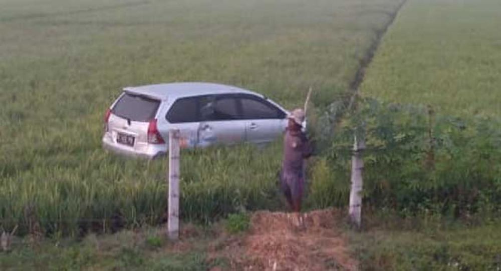Hindari Kucing di Tol Nganjuk, Mobil Xenia Tergelincir ke Sawah