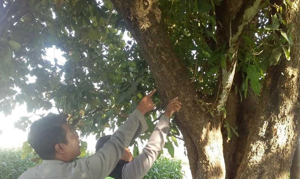 Polisi menunjukkan lokasi bunuh diri