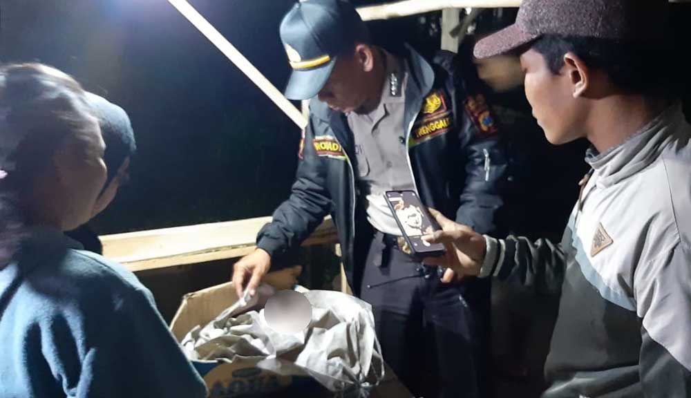 Bayi Laki-laki dengan Ari-ari Menempel Ditemukan di Kardus