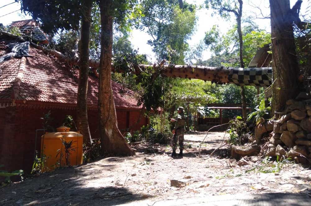 Pohon Gondang timpa bangunan di Petirtaan Jolotundo