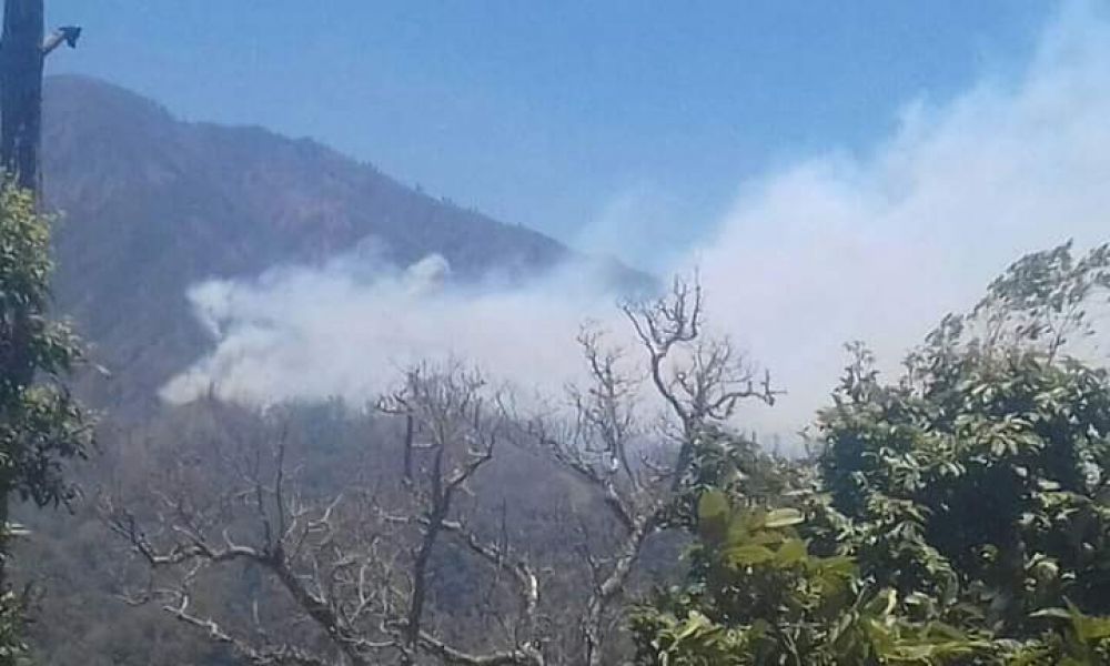 Jalur pendakian Gunung Raung yang masih terbakar di beberapa titik
