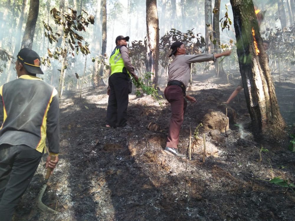 Petugas memadamkan api yang membakar lereng Gunung Lawu