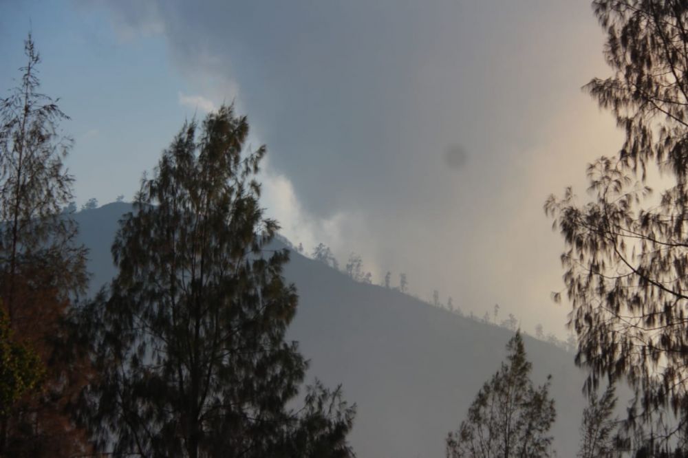 Status tanggap darurat di Pegunungan Ijen akibat kebakaran diperpanjang