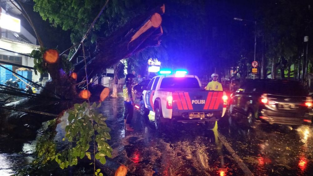 Pohon tumbang di Kota Madiun akibat hujan es dan angin kencang