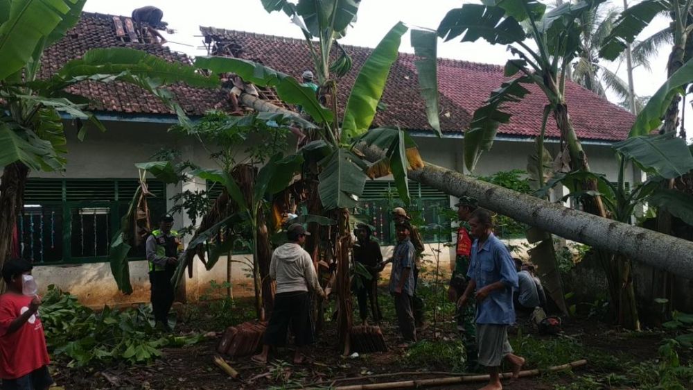 Warga dan petugas gotong royong evakuasi pohon timpa sekolah di Blitar