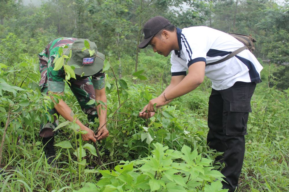 Anggota Polri dan TNI mengikuti penanaman pohon Gunung Arjuno-Welirang Blok Ringgit