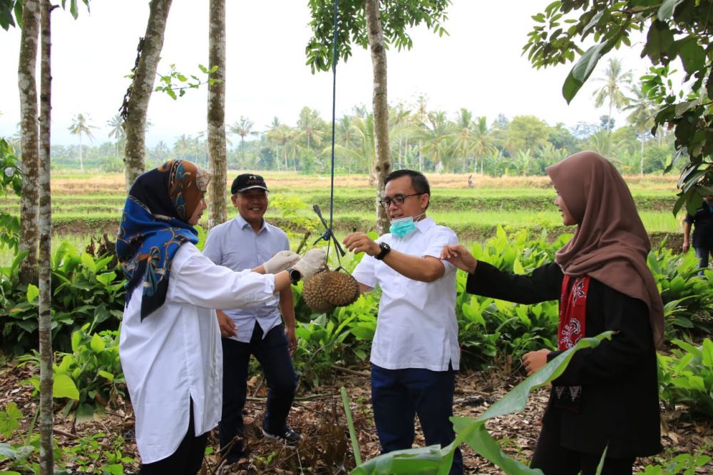 Bupati Anas di musim buah durian Banyuwangi