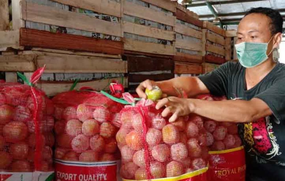 Pedagang buah kesemek di Pasar Induk Osowilangun Surabaya