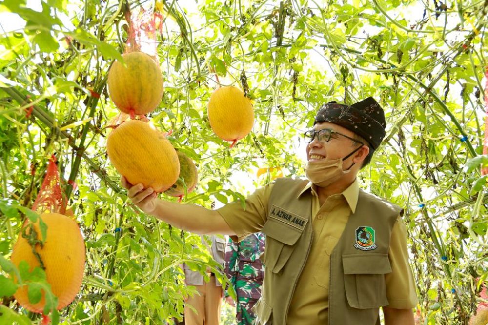 Bupati Anas di Agrowisata Tamansuruh Banyuwangi