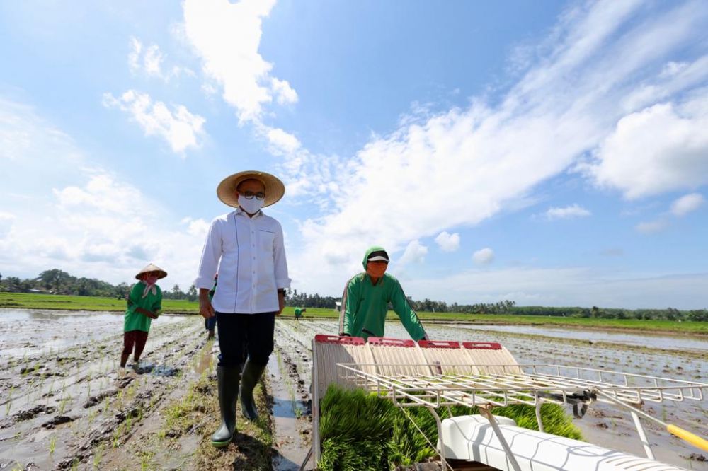 Pemkab Banyuwangi jaga produksi beras