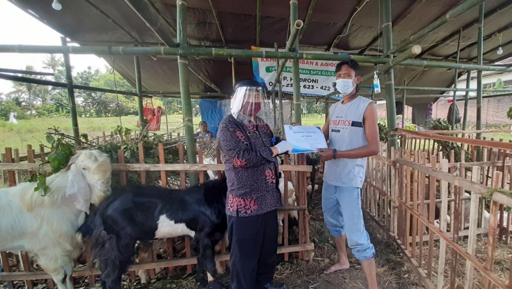 Pemberian sertifikasi kepada penjual hewan kurban