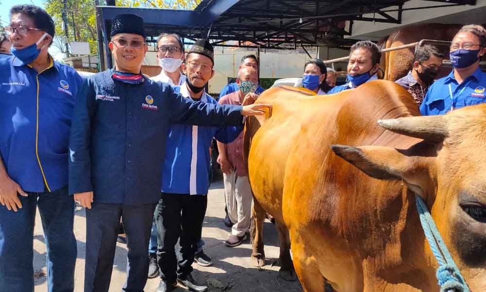 Hewan kurban dari Partai NasDem
