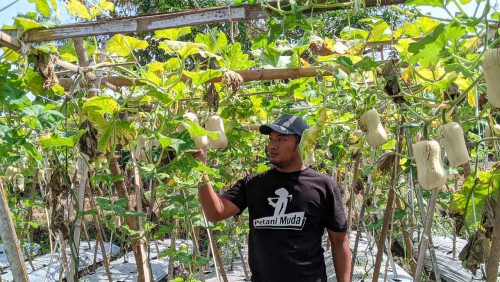 Petani ini Merasakan 'Manisnya' Menanam Pumpkins Butternut Squash