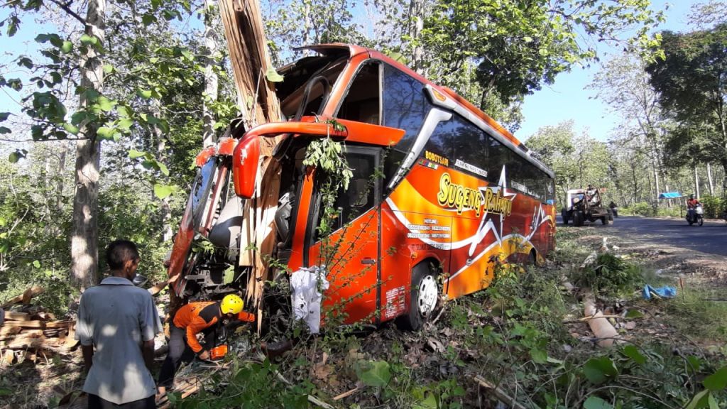 Bus Sumber Selamat yang mengalami kecelakaan tunggal di Ngawi