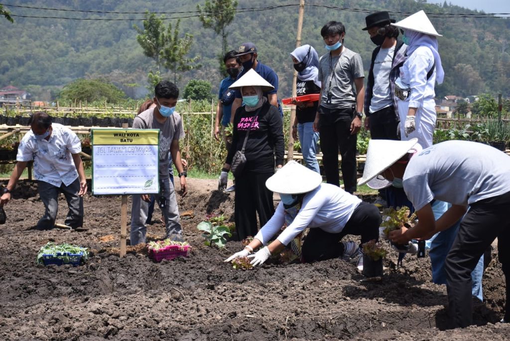 Sawah Rojo Art Farming Libatkan Milenial Kota Batu sebagai Petani