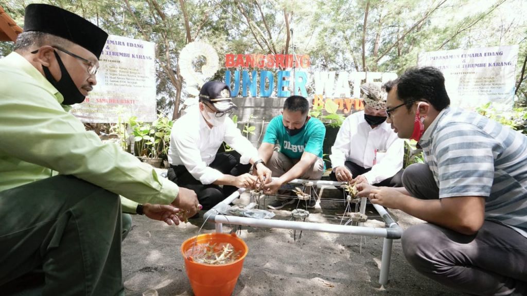 Penanaman Cemara Udang di Bangsring Underwater, Banyuwangi