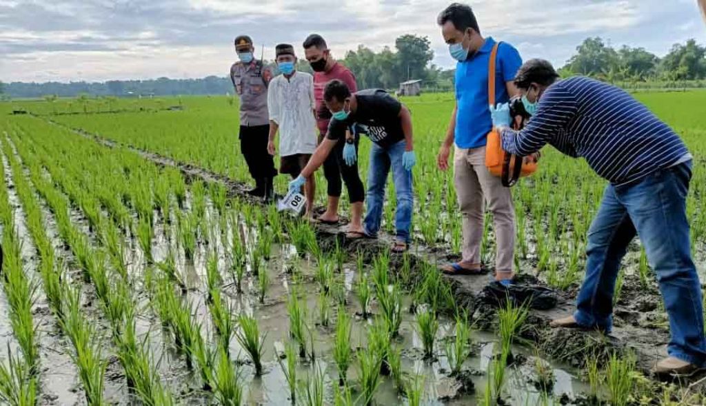Senjata Makan Tuan, Petani ini Tewas Tersengat Listrik Jebakan Tikus