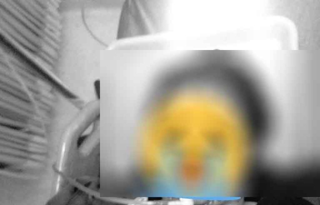 Foto kondisi korban (@darjofess di Twitter)