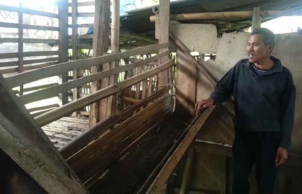 Salah satu korban tunjukkan kambing piaraan mereka yang hilang misterius