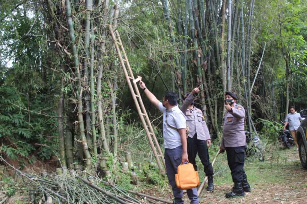 Kakek 70 Tahun Ditemukan Tewas saat Bersihkan Pohon Bambu