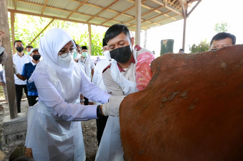 Bupati Ipuk dalam peluncuran program SMS Pisan di Banyuwangi