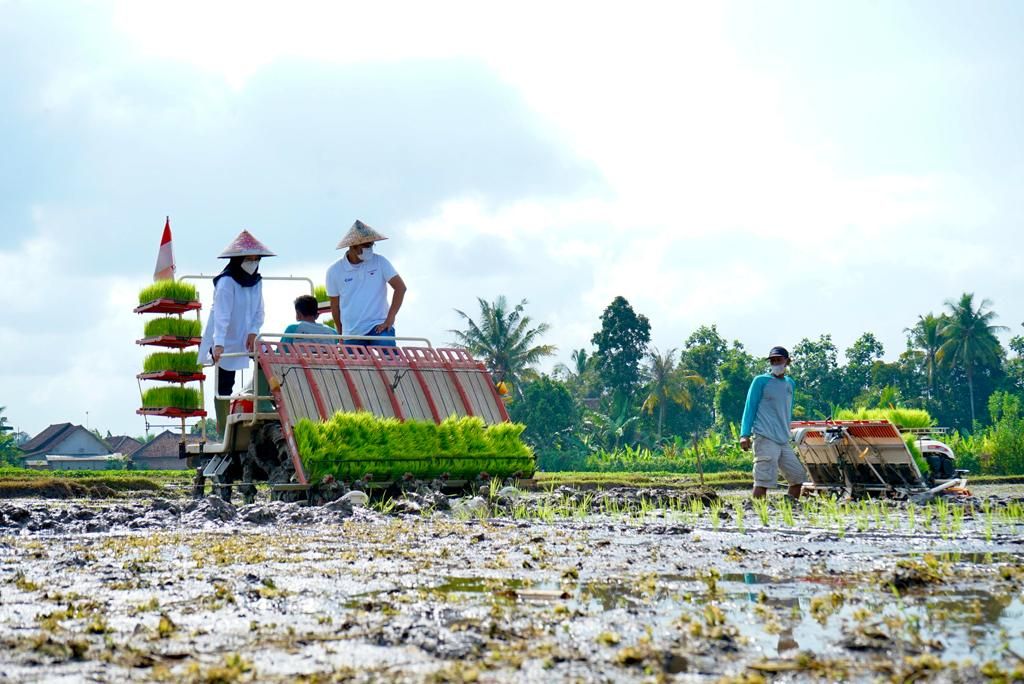 Bupati Banyuwangi Ipuk Fiestiandani saat tanam perdana metode agro solution di Desa Karangsari, Kecamatan Sempu