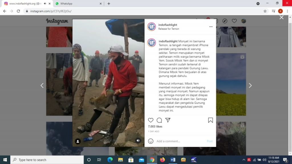 Tangkapan layar video viral monyet mencuri di Gunung Lawu.