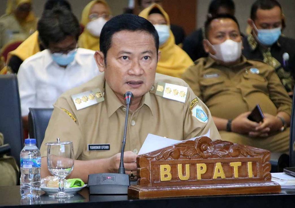 Bupati Lamongan Yuhronur Efendi.