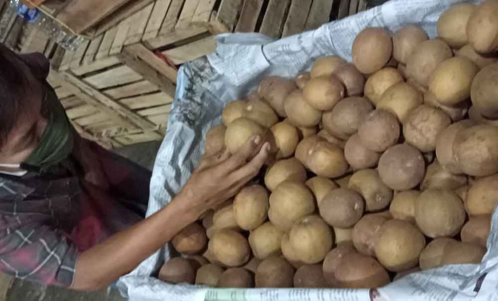 Buah sawo madu di Pasar Induk Osowilangun Surabaya