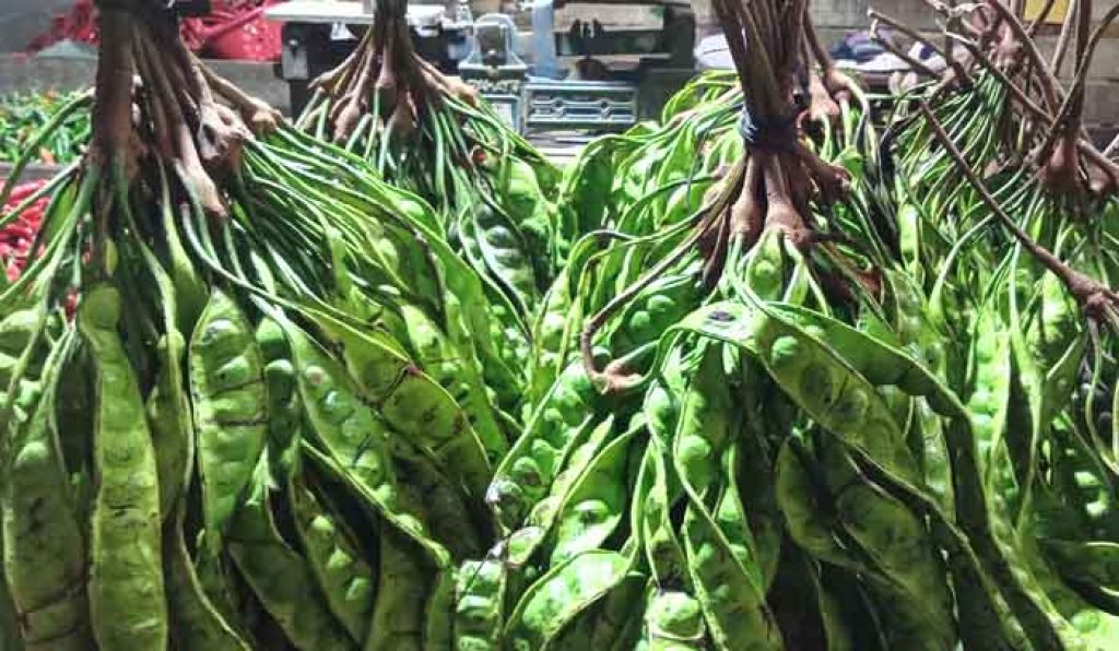 Petai segar yang tersedia di PIOS