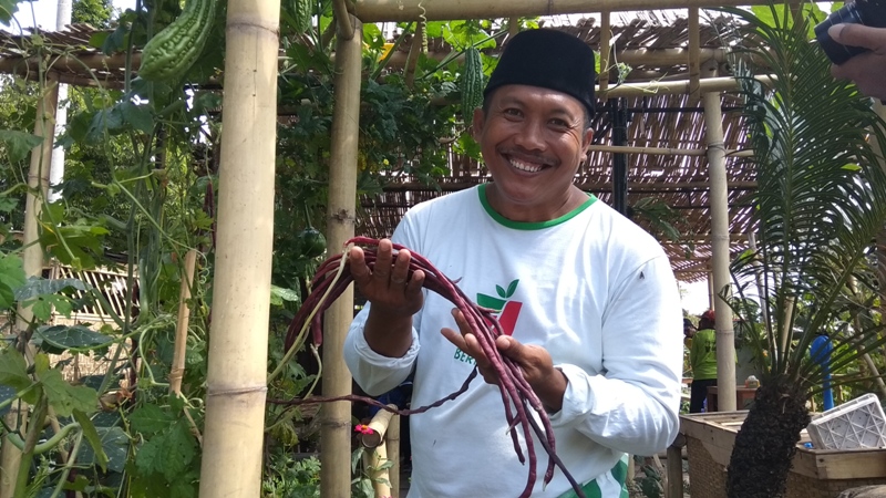 Kacang merah panjang yang dipamerkan di Festival Agro Expo 2018/Foto: Hafiluddin Ahmad