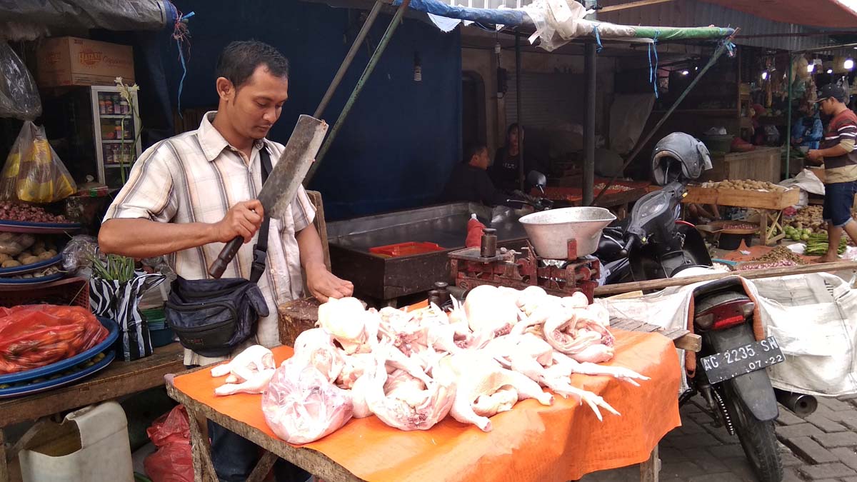 Harga daging ayam mahal, omzet penjualan pedagang menurun