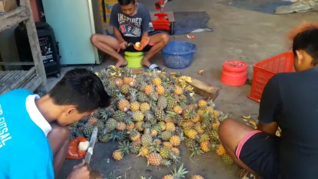 Sayang dengan Nanas Sortiran, Azizah Sulap menjadi Sari Buah