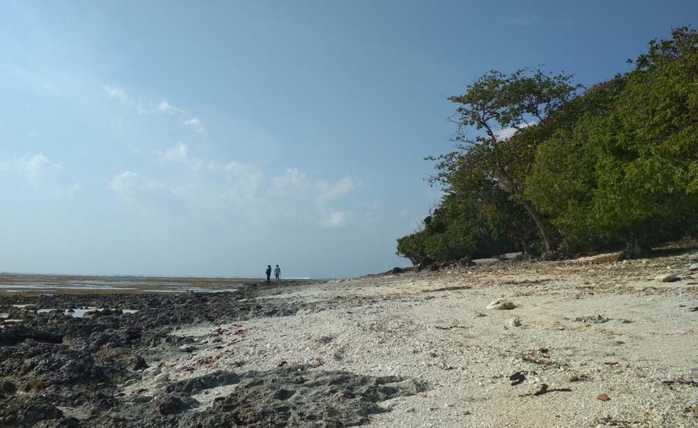 Pemandangan Pantai Plengkung di Banyuwangi