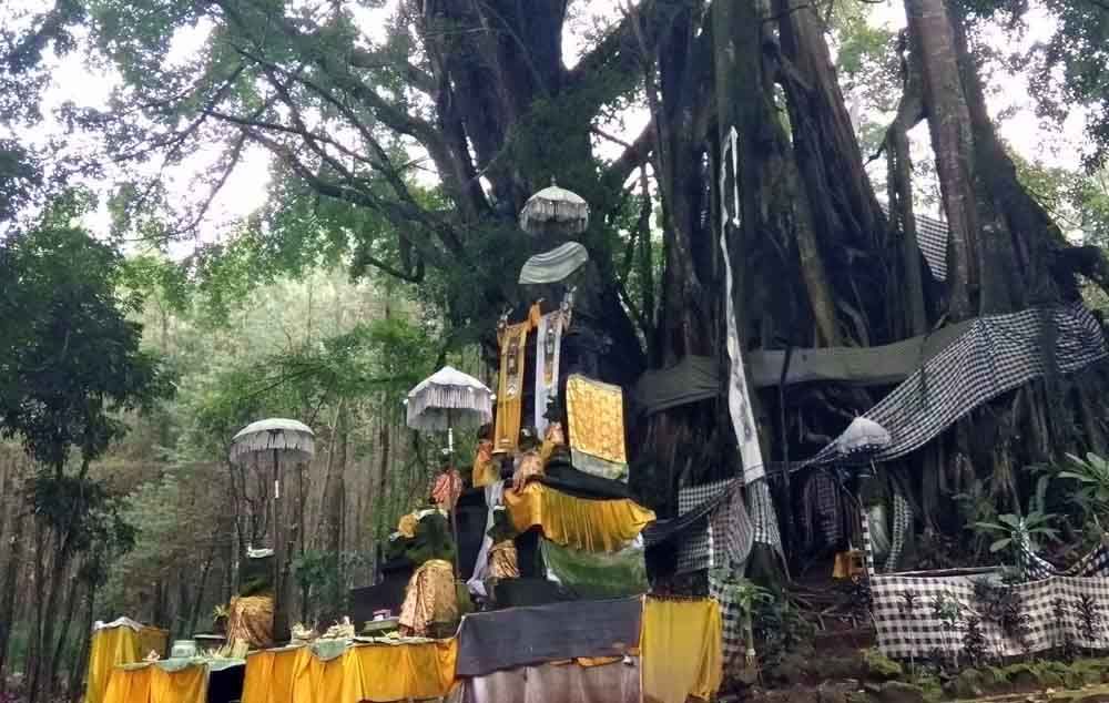 Beji Antaboga di Banyuwangi