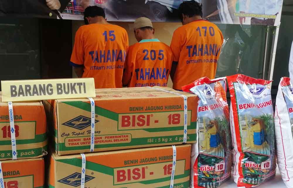 Ini Modus Perdagangan Ilegal Benih Jagung Bersubsidi di Jatim