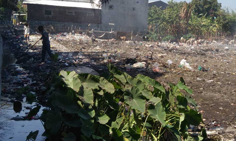 Sampah di rawa-rawa ganggu warga Probolinggo