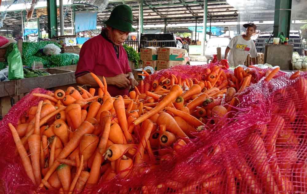 Dijamin Segar, Setiap Hari Stok Wortel di PIOS Mencapai 3 Ton