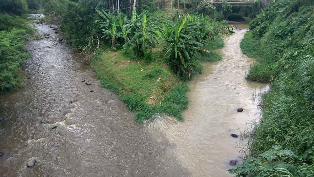 Diduga Tercemar Limbah Kotoran Sapi, Sungai Genjong Blitar Keruh & Bau
