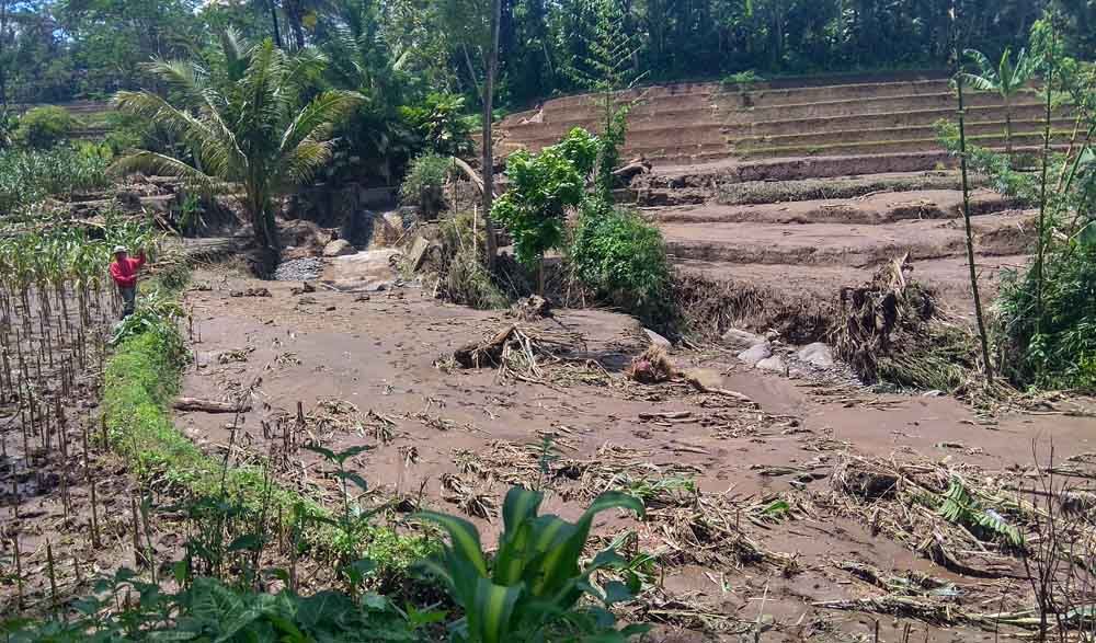 Sawah di Blitar yang rusak diterjang banjir lumpur
