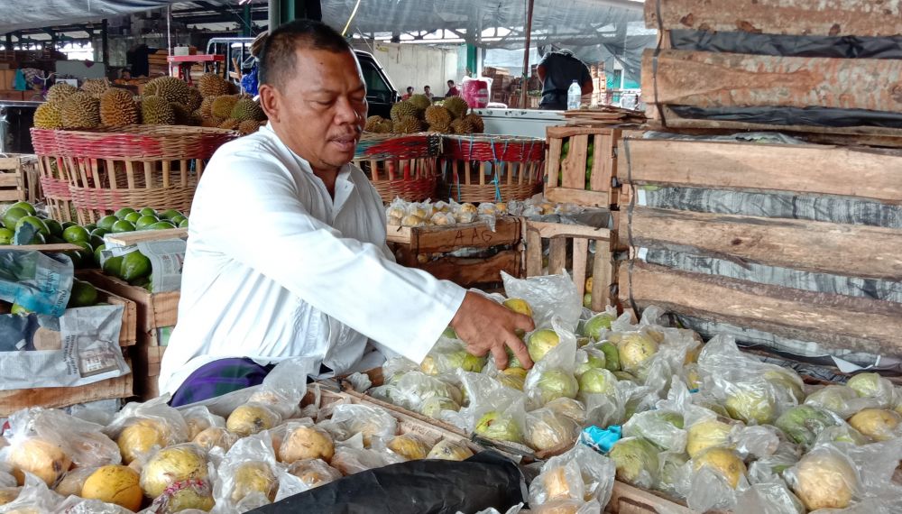 Panen Raya, Stok Jambu Biji di PIOS Melimpah