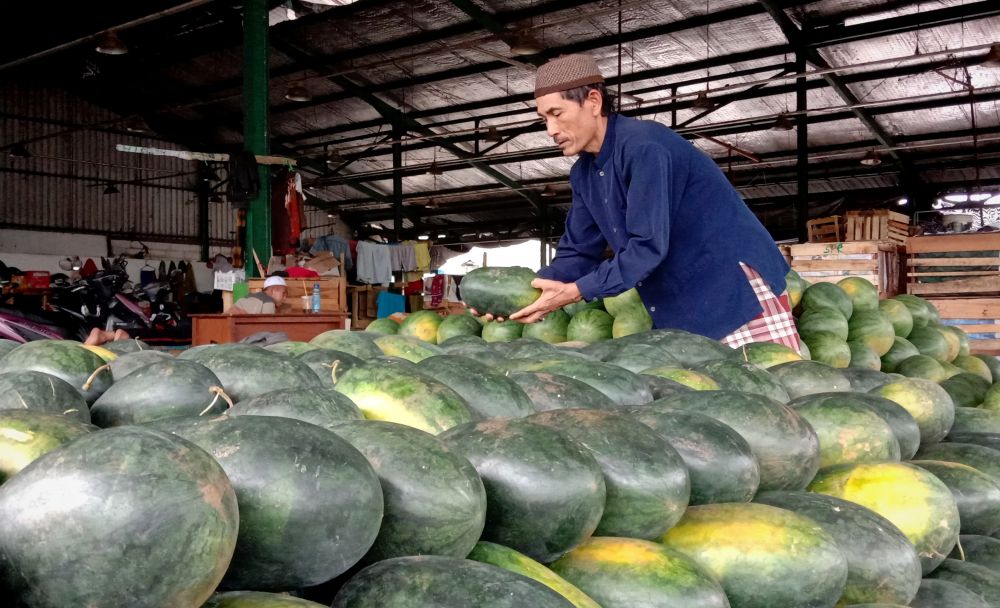 Rasanya Manis, Buah Semangka Inul di PIOS Laku 6 Ton dalam Lima Hari
